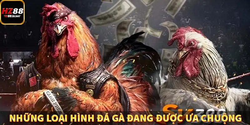 Khám phá những loại hình đá gà đang được ưa chuộng