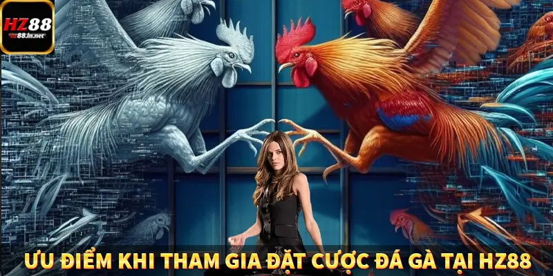 Ưu điểm khi tham gia đặt cược đá gà tại HZ88