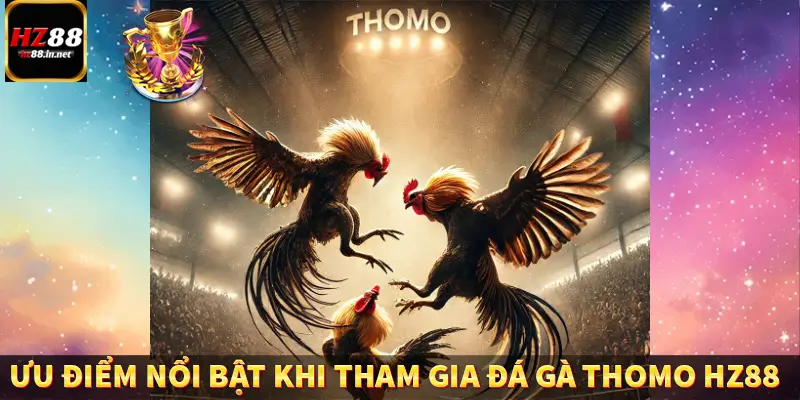 Ưu điểm nổi bật khi tham gia đá gà Thomo trên HZ88
