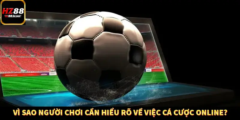 Casino Trực Tuyến HZ88 Có Thực Sự Minh Bạch Và An Toàn Không? 11 Vì sao người chơi cần hiểu rõ về việc cá cược online?