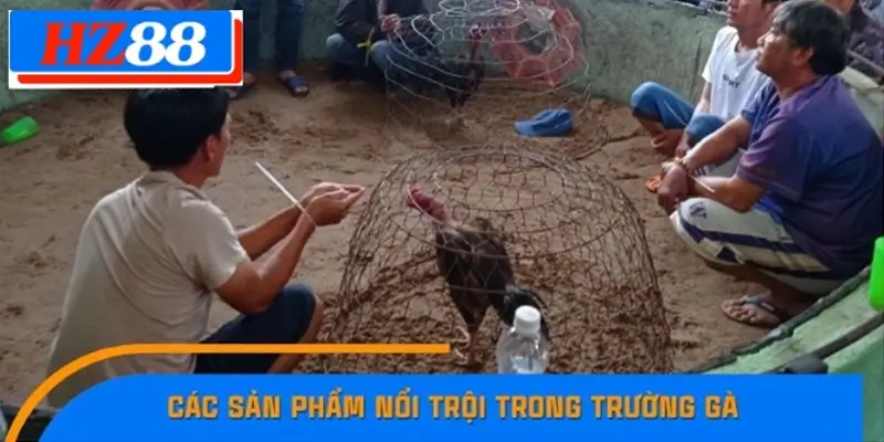 Đấu gà cựa sắt