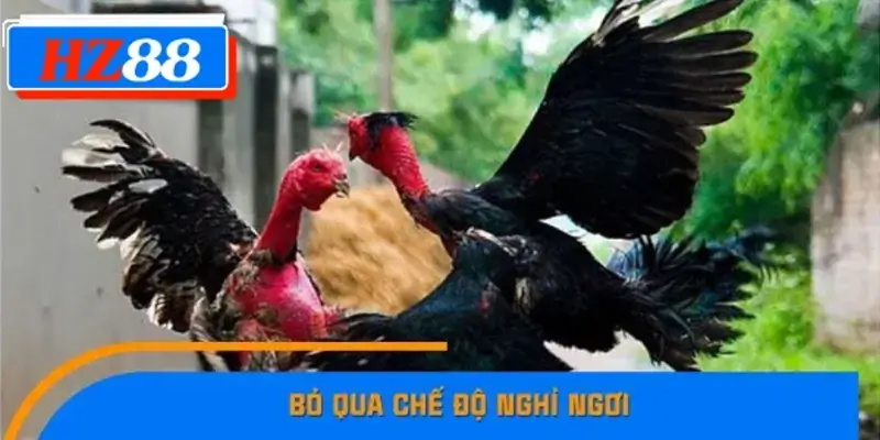 Bỏ qua chế độ nghỉ ngơi