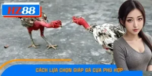 Cách Lựa Chọn Giáp Gà Cựa Phù Hợp Để Tăng Sức Mạnh Tại HZ88
