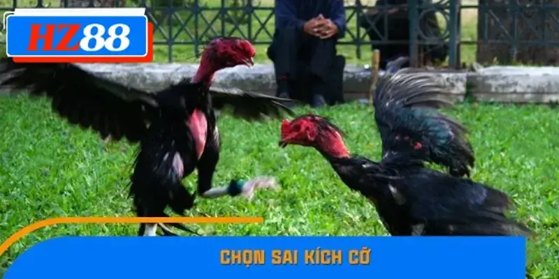 Chọn sai kích cỡ
