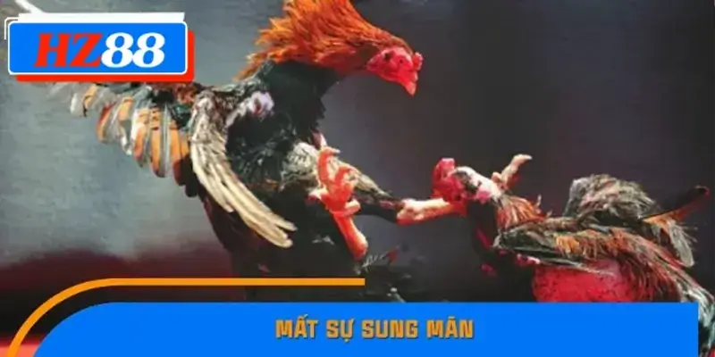 Mất sự sung mãn