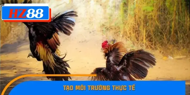 Tạo môi trường thực tế