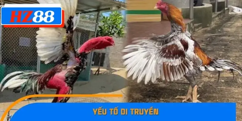 Yếu tố di truyền